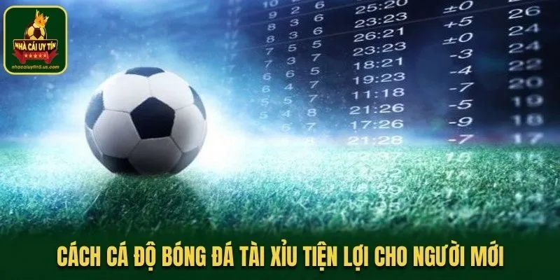 Cách cá độ bóng đá tài xỉu tiện lợi cho người mới