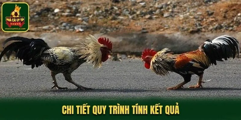 Chi tiết quy trình tính kết quả