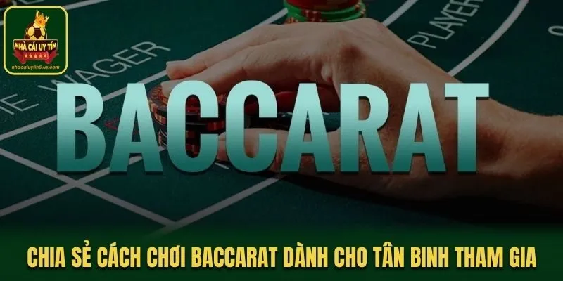 Chia Sẻ Cách Chơi Baccarat Dành Cho Tân Binh Mới Tham Gia