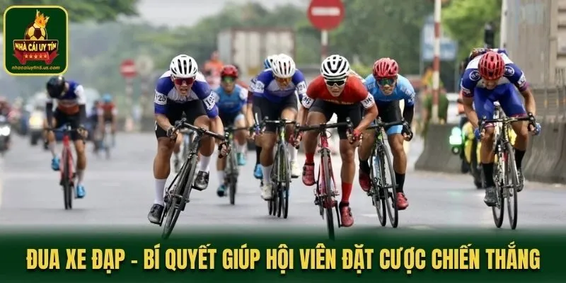 Đua Xe Đạp - Bí Quyết Giúp Hội Viên Đặt Cược Chiến Thắng