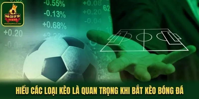 Hiểu các loại kèo là quan trọng trong công thức bắt kèo bóng đá