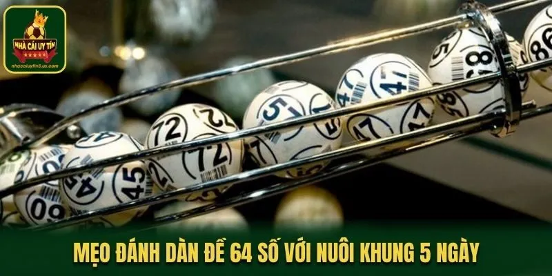 Mẹo đánh dàn đề 64 số với nuôi khung 5 ngày