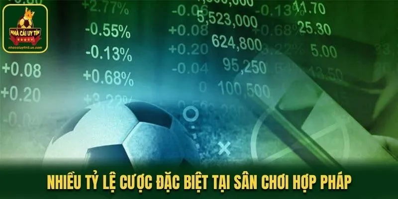 Nhiều tỷ lệ cược đặc biệt tại sân chơi hợp pháp