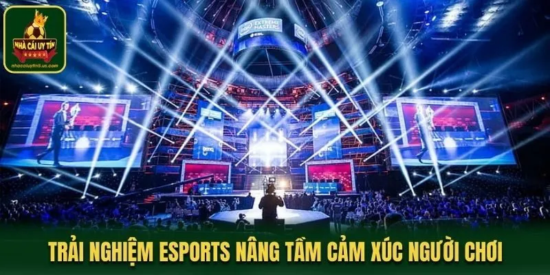 Trải nghiệm Esports nâng tầm cảm xúc người chơi